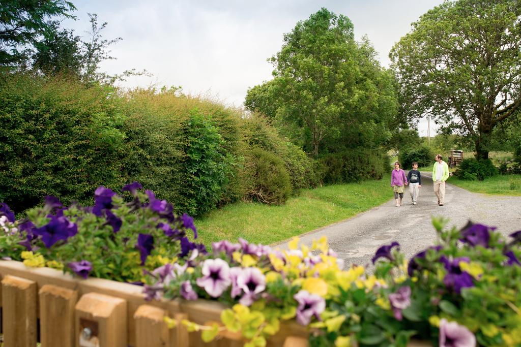 Burren Glamping Vila Kilfenora Exterior foto